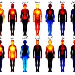 خريطة المناطق التي تنشط في الجسم أثناء الانفعالات المختلفة